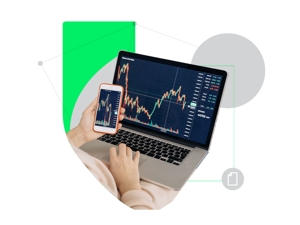 Generate Reports